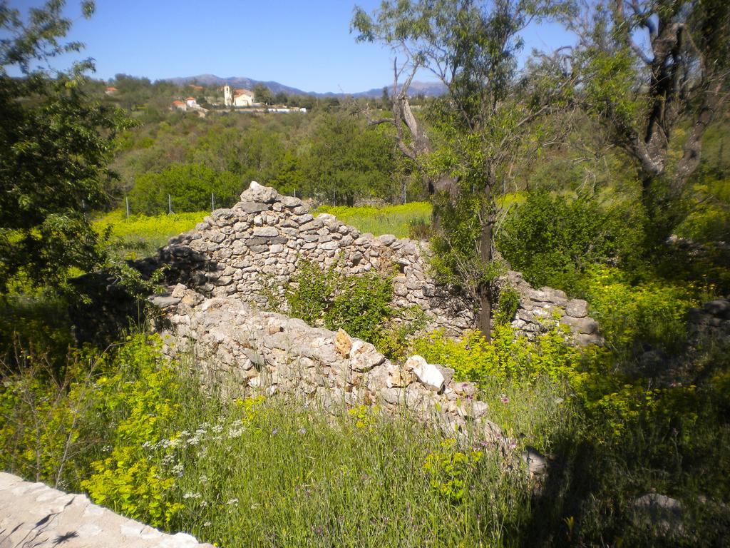 Villa Stone House in a quiet landscape, Leonidion Exterior foto